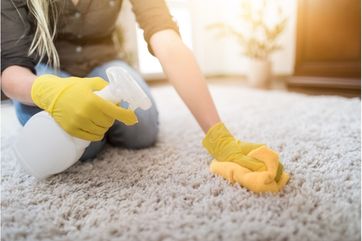 Importance of Hiring Clean Master’s Carpet Cleaning Services Hayden