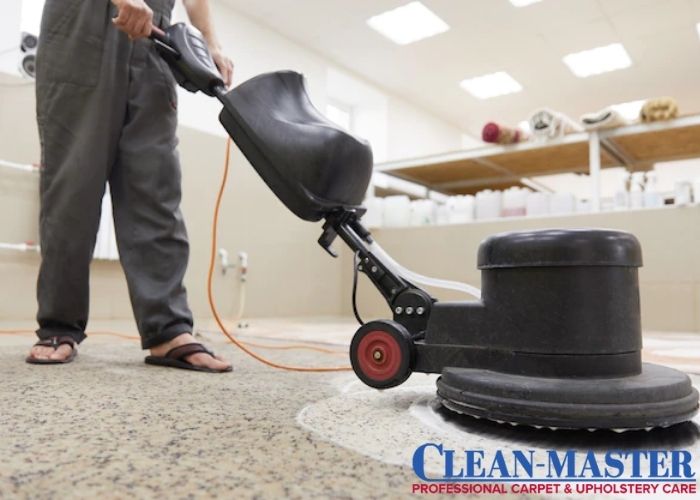 Tips to Protect Your Carpet From Dust Mites