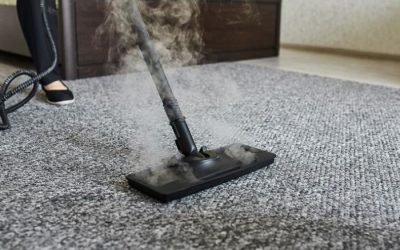 Perks of Steam Carpet Cleaning in Old Age Homes