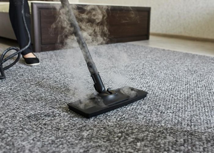 Professional-Carpet-Cleaner