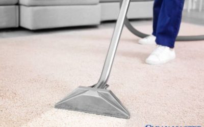 Why is Carpet Cleaning Important?