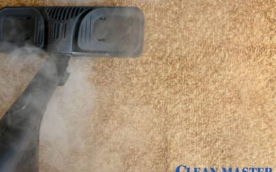 What Are the Common Carpet Cleaning Myths?
