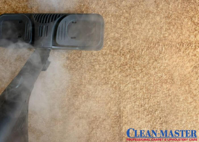 What Are the Common Carpet Cleaning Myths?