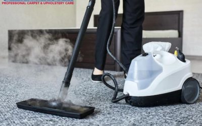 DIY Vs Professional Carpet Cleaning: What Is The Right Choice?