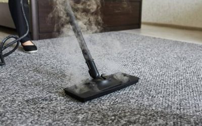 How Frequently Should Professional Carpet Cleaning Be Performed?