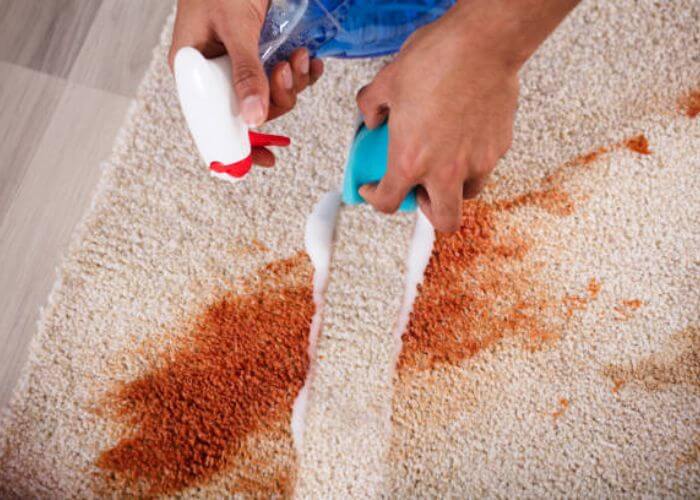 Interesting Facts About Renting or Hiring the Carpet Cleaning Services