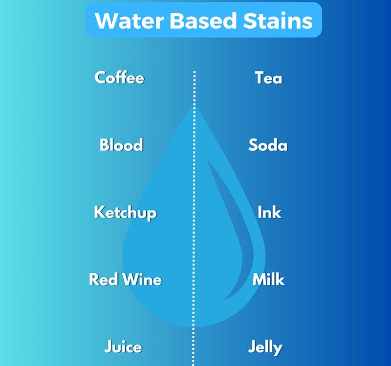 Types of water-based carpet stains.