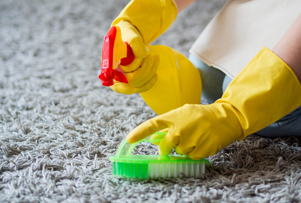 How to Choose the Right Carpet Cleaning Service: Your Ultimate Guide