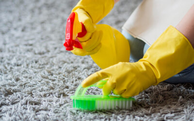 How to Choose the Right Carpet Cleaning Service: Your Ultimate Guide
