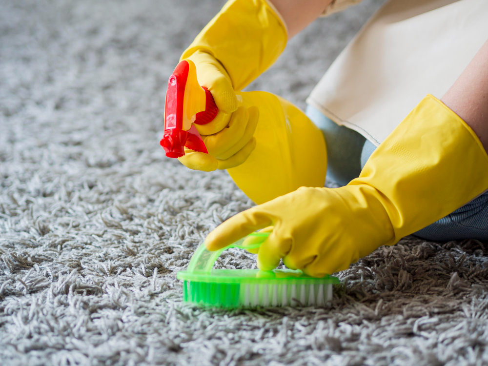 Carpet Cleaning Services Post Falls