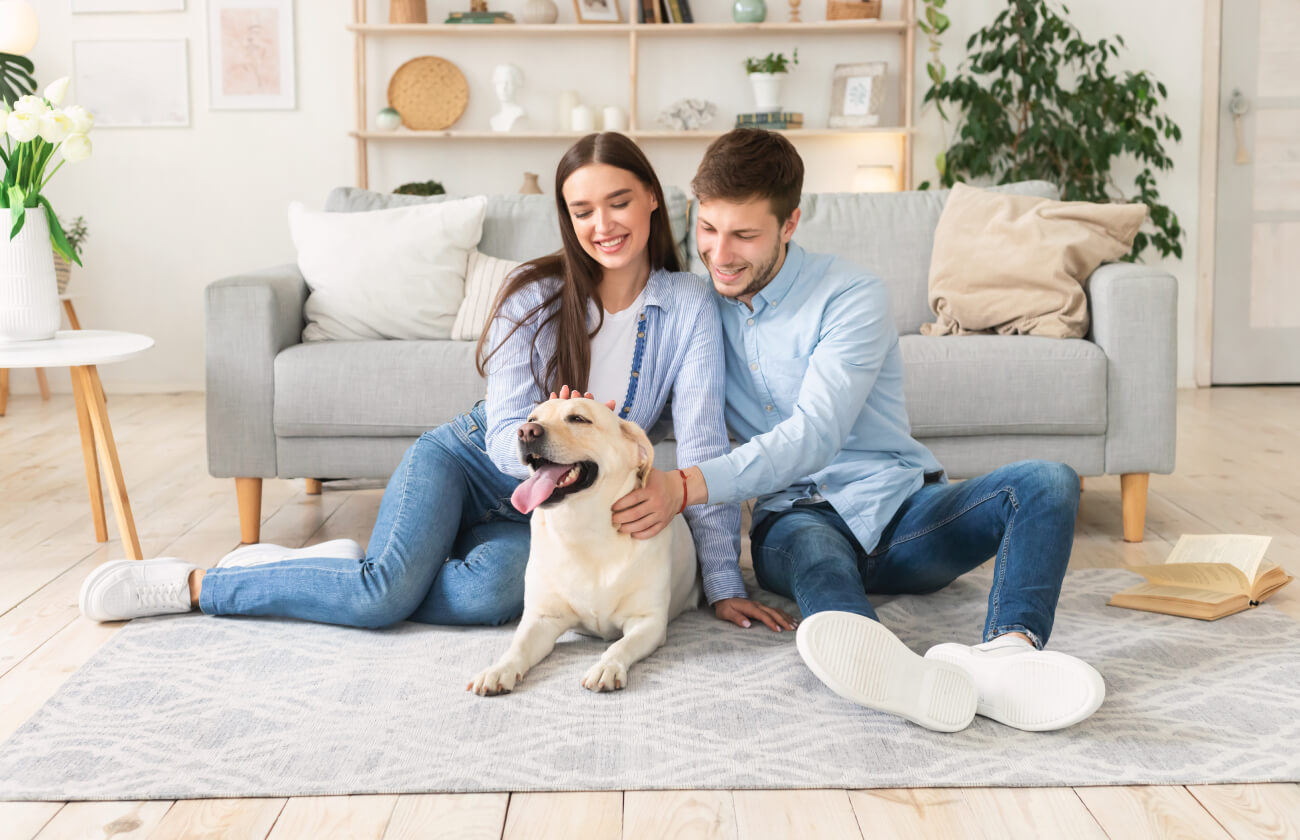 Pet Odor & Stain Removal